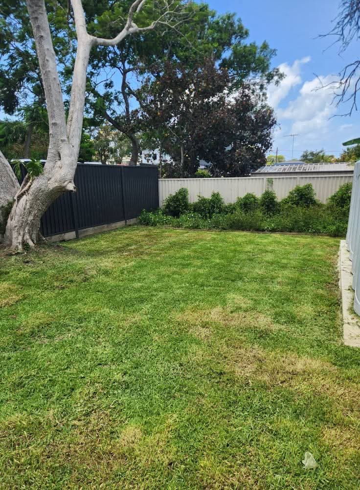 Professional tree service in Sydney