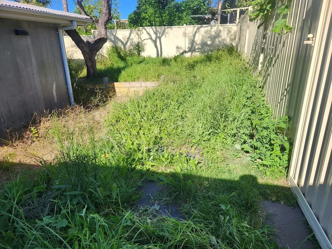 Garden Transformation 1 - Before